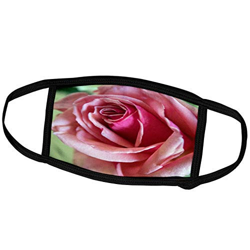 3dRose A Soft Pink Rose Shot up Close with a Little Green in Back - Face Covers -fc-292385-1-
