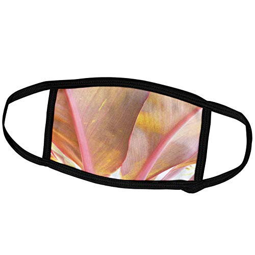 3dRose Image of Back of Peach and Yellow Tropic Leaves - Face Covers -fc-308258-1-