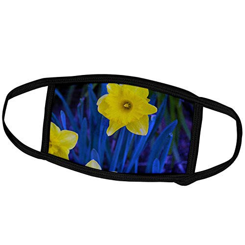 3dRose A Yellow Daffodil on a Blue and Green Leafy Backdrop - Face Covers -fc-48433-1-