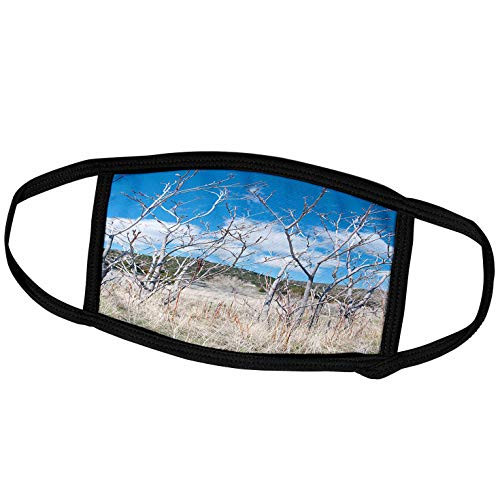 3dRose A Group of Bare Trees On a Vivid Blue Backdrop and Grassy Meadow. - Face Covers -fc-48438-1-