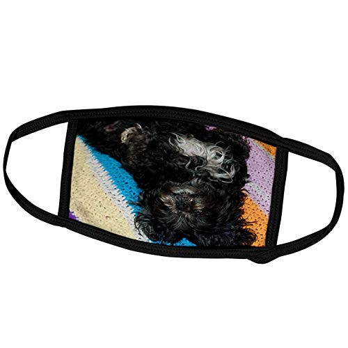 3dRose Black and White Shiatsu Lhasas Family Pet Dog Laying On Her Back. - Face Covers -fc-49450-1-