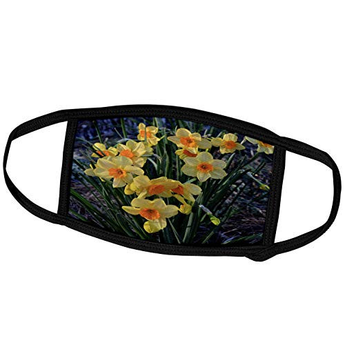 3dRose WhiteOak Photography Floral Prints - Daffodil with Yellow Petals and Orange - Face Masks -fm-110139-1- 3dRose WhiteOak Photography Floral Prints - Daffodil with Yellow Petals and Orange - Face Masks -fm-110139-1-