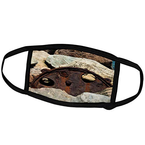 3dRose Roni Chastain Photography - Rusty Wheel - Face Masks -fm-113757-3-