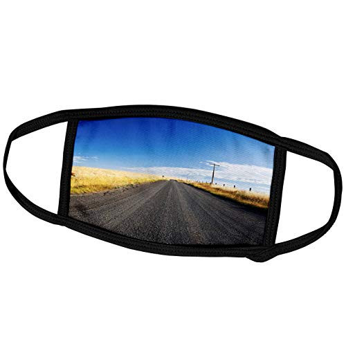 3dRose Danita Delimont - Roads - USA, Washington, Davenport, Backcountry Road Through Wheat Fields. - Face Masks -fm-209775-3- 3dRose Danita Delimont - Roads - USA, Washington, Davenport, Backcountry Road Through Wheat Fields. - Face Masks -fm-209775-3-
