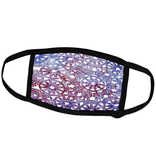 3dRose Susans Zoo Crew Abstract - Lace Blue red Pattern Image Wheel - Face Masks -fm-212419-2-