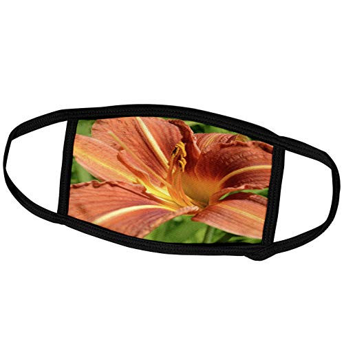 3dRose Patricia Sanders Flowers - Orange Lily - Face Masks -fm-22749-1-