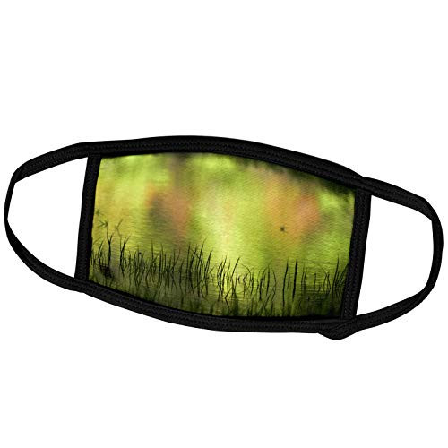 3dRose Danita Delimont - Yosemite - Reflections in Mirror Lake, Yosemite, California, USA - Face Masks -fm-230105-1-