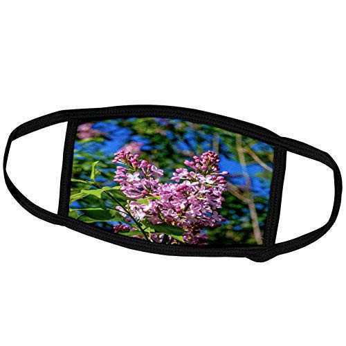 3dRose Alexis Photography - Flowers Lilacs - Fresh Pink Lilac Flowers, Dark Green and Blue Backdrop - Face Masks -fm-273778-3- 3dRose Alexis Photography - Flowers Lilacs - Fresh Pink Lilac Flowers, Dark Green and Blue Backdrop - Face Masks -fm-273778-3-