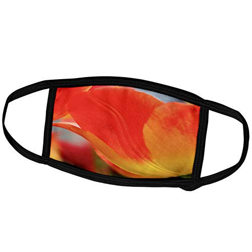 3dRose Danita Delimont - Flowers - Netherlands, Macro of Orange Tulips - Face Masks -fm-277715-1-