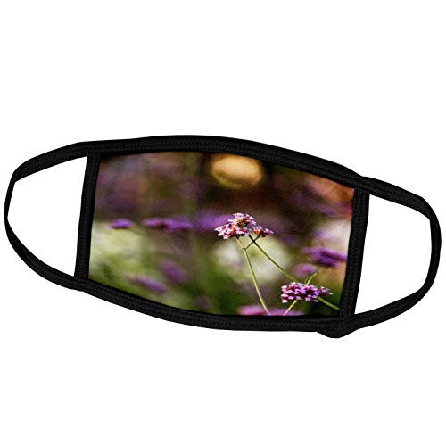 3dRose Alexis Photography - Flowers Verbena - Verbena Flowers in The Summer Garden. Evening Light, Smooth Backdrop - Face Masks -fm-298654-2- 3dRose Alexis Photography - Flowers Verbena - Verbena Flowers in The Summer Garden. Evening Light, Smooth Backdrop - Face Masks -fm-298654-2-