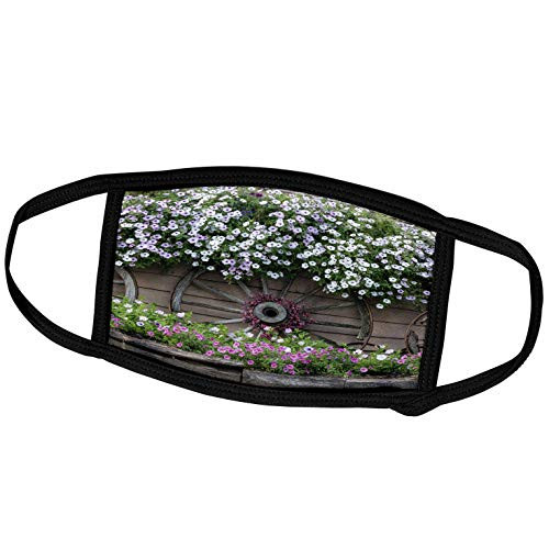 3dRose Danita Delimont - Scenics - Flowers and Wagon Wheels. - Face Masks -fm-314458-2-