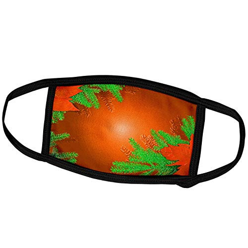 3dRose Yves Creations Poinsettia Designs - Orange and Green Poinsettia - Face Masks -fm-5951-1-