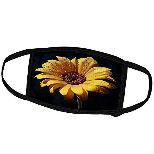 3dRose Florene Flower - Dew on Sunflower Against Black Backdrop.jpg - Face Masks -fm-98576-1-