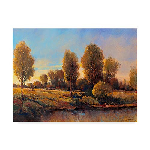 Trademark Fine Art Riverside Light Ii by Tim Otoole, 14x19-Inch