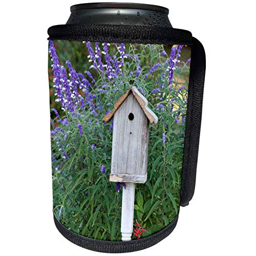 3dRose Danita Delimont - Garden - Birdhouse in garden with Mexican Bush Sage and Pineapple Sage - Can Cooler Bottle Wrap -cc-251048-1- 3dRose Danita Delimont - Garden - Birdhouse in garden with Mexican Bush Sage and Pineapple Sage - Can Cooler Bottle Wrap -cc-251048-1-