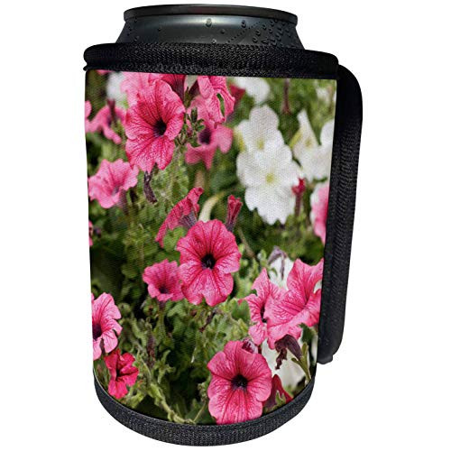 3dRose Alexis Photography - Flowers Petunia - Dark pink and white petunia flowers - Can Cooler Bottle Wrap -cc-265586-1-