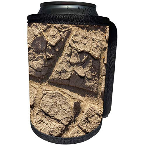 3dRose Danita Delimont - Desert - Dried mud in Mesquite Flat Dunes, Death Valley, California - Can Cooler Bottle Wrap -cc-230246-1-