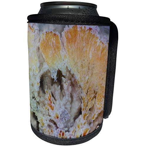 3dRose Danita Delimont - Rocks - Flowering Plume Agate, Quartzsite, Arizona - Can Cooler Bottle Wrap -cc-229598-1-