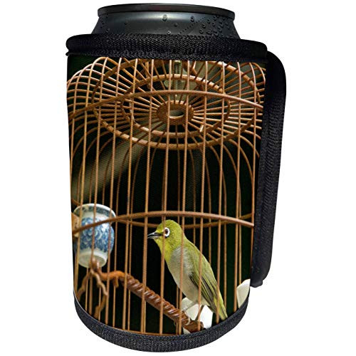 3dRose Danita Delimont - Birds - Hong Kong, Bird Garden, Market, Caged pet birds-AS07 CMI0328 - Cindy Miller Hopkins - Can Cooler Bottle Wrap -cc-70642-1- 3dRose Danita Delimont - Birds - Hong Kong, Bird Garden, Market, Caged pet birds-AS07 CMI0328 - Cindy Miller Hopkins - Can Cooler Bottle Wrap -cc-70642-1-