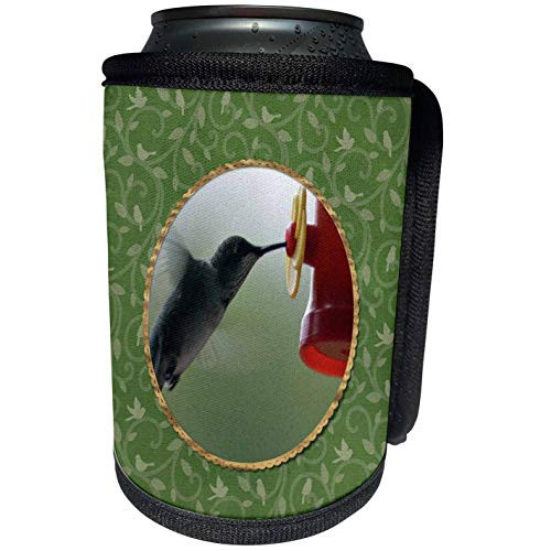 3dRose Beverly Turner Bird Photography - Hummingbird at Feeder in Round, Birds on Branches, Green - Can Cooler Bottle Wrap -cc-274408-1-