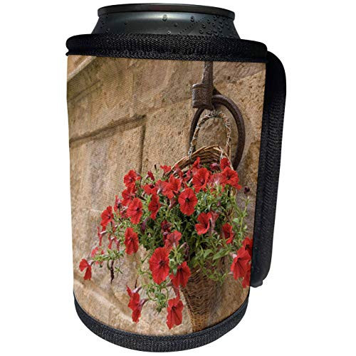 3dRose Danita Delimont - Flowers - Italy, Tuscany, Pienza. Petunia flowers spill from a basket. - Can Cooler Bottle Wrap -cc-257716-1-