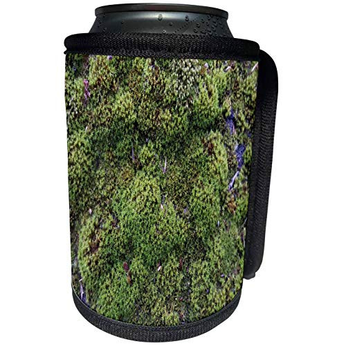 3dRose TDSwhite  Summer Seasonal Nature Photos - Moss Growth Shingles - Can Cooler Bottle Wrap -cc-284487-1-