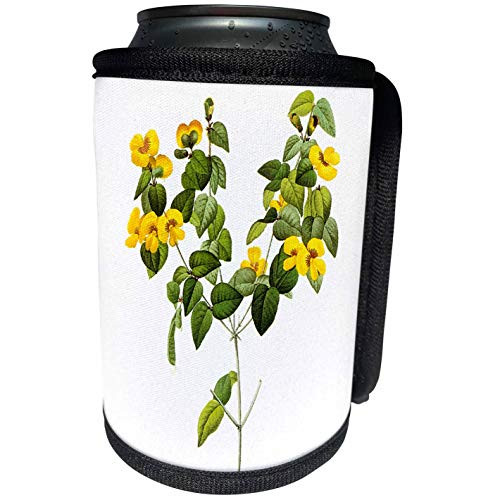 3dRose Dooni Designs Redoute Fruits and Flowers - Redoute Vintage Watercolor Floral Handsome Flat-Pea Platylobium Sp - Can Cooler Bottle Wrap -cc-106781-1-
