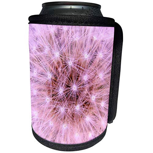 3dRose Costas Onlineshop Flowers Pastel - Rose Pastel Dandelion - Can Cooler Bottle Wrap -cc-253583-1-
