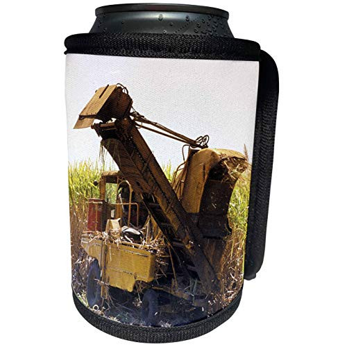 3dRose Kike Calvo Cuba - Sugar Cane Farming Cuba - Can Cooler Bottle Wrap -cc-37738-1- 3dRose Kike Calvo Cuba - Sugar Cane Farming Cuba - Can Cooler Bottle Wrap -cc-37738-1-