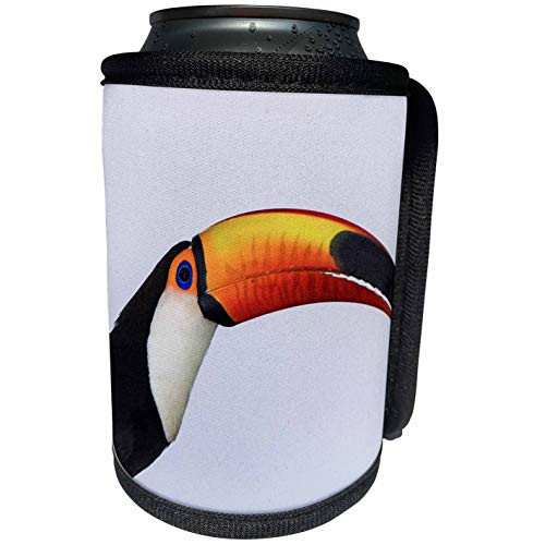 3dRose Danita Delimont - Birds - Toco Toucan, Ramphastos toco, Northern Pantanal, Mato Grosso, Brazil - Can Cooler Bottle Wrap -cc-228682-1-