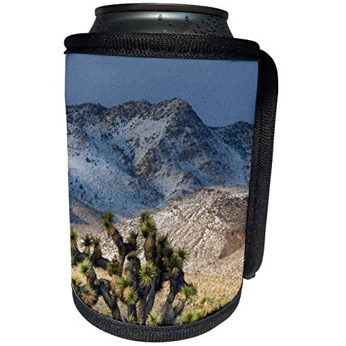 3dRose Danita Delimont - Deserts - Usa, California. Death Valley NP. Joshua Trees in the Snow, Lee Flat - Can Cooler Bottle Wrap -cc-258912-1-