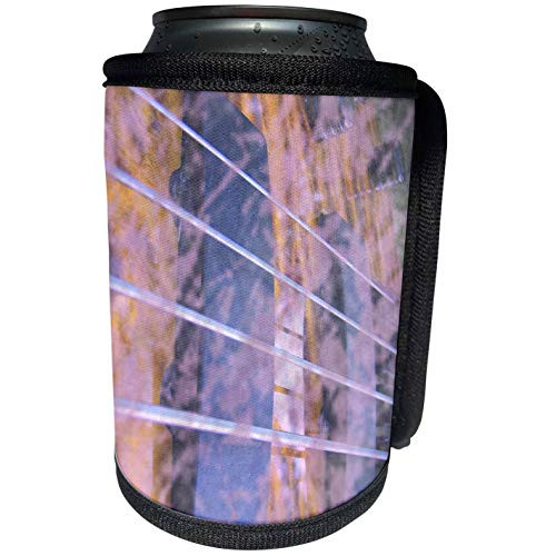 3dRose Susans Zoo Crew Musical Instruments - Grunged Four string bass strings and pickups - Can Cooler Bottle Wrap -cc-155979-1-