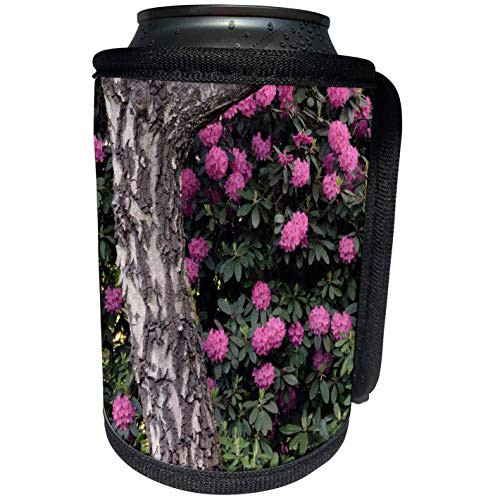 3dRose Danita Delimont - Michel Hersen - Plants - Rhododendrons, Crystal Springs Rhododendron Garden, Oregon, USA - Can Cooler Bottle Wrap -cc-191653-1- 3dRose Danita Delimont - Michel Hersen - Plants - Rhododendrons, Crystal Springs Rhododendron Garden, Oregon, USA - Can Cooler Bottle Wrap -cc-191653-1-