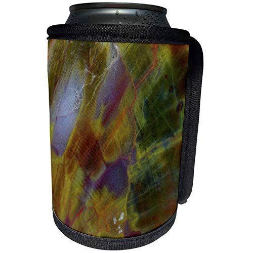 3dRose Danita Delimont - Stone - Petrified Wood close-up 15 - Can Cooler Bottle Wrap -cc-246951-1-