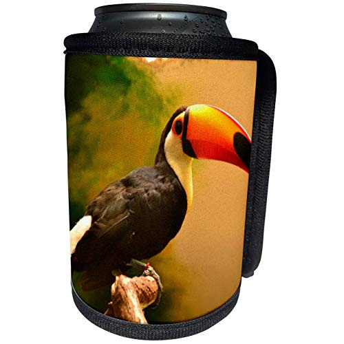 3dRose Sven Herkenrath Animal - Brazil Exotic Tukan Bird in the Free Nature Wildlife Tropical - Can Cooler Bottle Wrap -cc-254220-1-