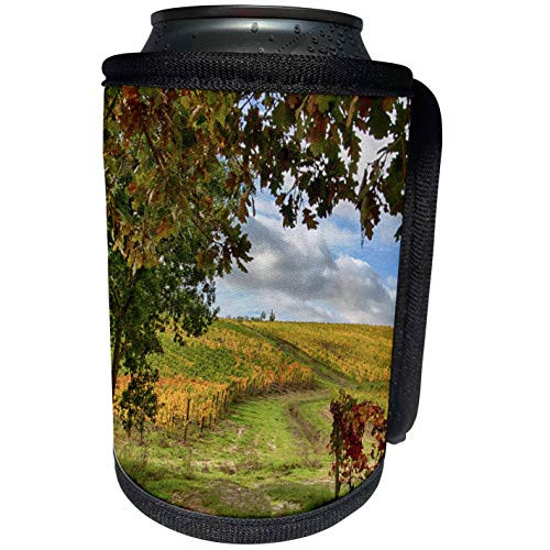 3dRose Danita Delimont - Vineyards - Italy, Montepulciano, Dirth path through autumn vineyards. - Can Cooler Bottle Wrap -cc-277682-1-