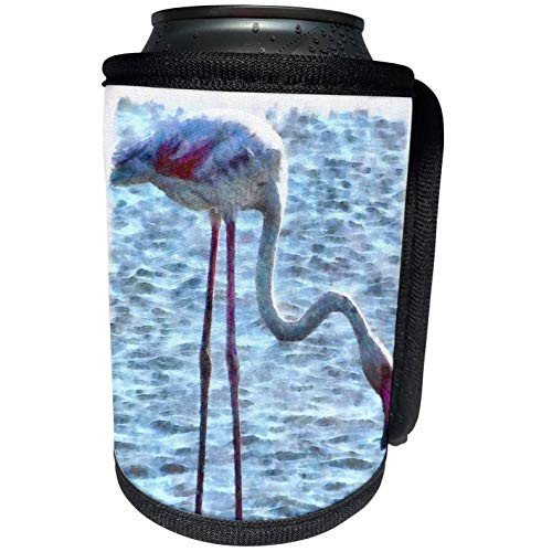 3dRose Taiche - Watercolor Painting - Flamingos - Balance of Nature Flamingo Watercolor - Can Cooler Bottle Wrap -cc-284684-1- 3dRose Taiche - Watercolor Painting - Flamingos - Balance of Nature Flamingo Watercolor - Can Cooler Bottle Wrap -cc-284684-1-