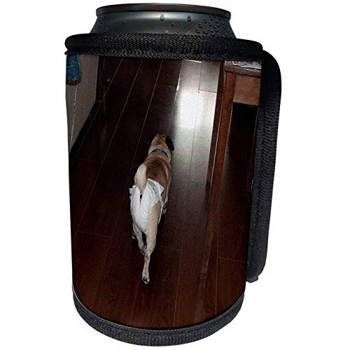 3dRose Jos Fauxtographee Realistic - Pet Pug Doggie Walking Away Wearing Its Baby Diaper on Hard Wood Floors - Can Cooler Bottle Wrap -cc-49476-1-