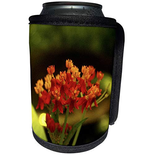 3dRose Florene Flowers - Baby Orange - Can Cooler Bottle Wrap -cc-8588-1- 3dRose Florene Flowers - Baby Orange - Can Cooler Bottle Wrap -cc-8588-1-