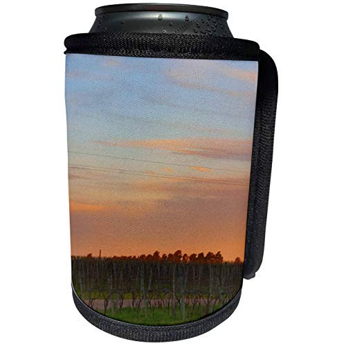 3dRose Danita Delimont - Vineyards - Vineyard, Vinedos y Bodega Filgueira Winery, Uruguay - SA19 PKA0075 - Per Karlsson - Can Cooler Bottle Wrap -cc-87107-1-
