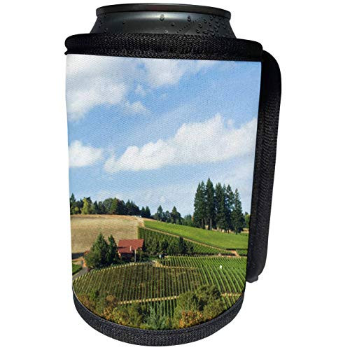 3dRose Danita Delimont - Vineyards - Oregon, Willamette Valley, Domaine Drouhin Vineyard - US38 RTI0018 - Rob Tilley - Can Cooler Bottle Wrap -cc-94109-1-