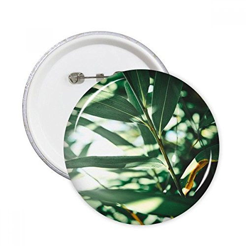 Green Leaf Plant Nature Photo Round Pins Badge Button Emblem Accessory Decoration 5pcs