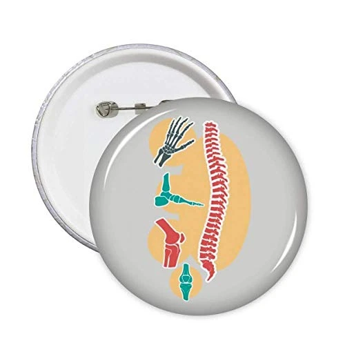 Spinal Skeleton Structure Illustration Round Pins Badge Button Emblem Accessory Decoration 5pcs