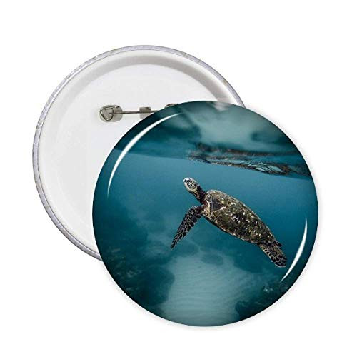 Ocean Sea Turtle Science Nature Picture Pins Badge Button Emblem Accessory Decoration 5pcs
