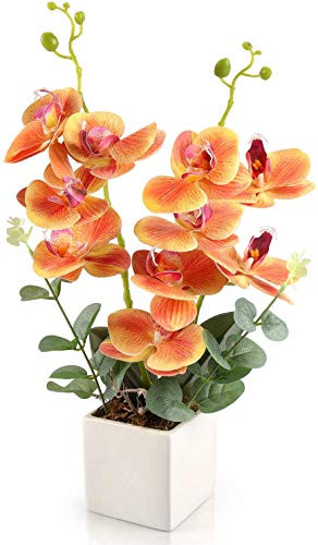RERXN Artificial Orchid Flowers with Vase, Fake Orchid Arrangement 2 Heads PU Potted Silk Phalaenopsis Flower Arrangement for Home Table Party Decor -Orange-