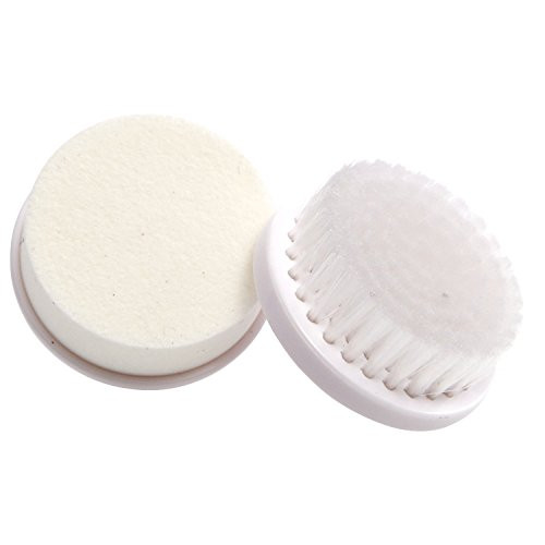 Beyond Belief Replacement Brush Heads