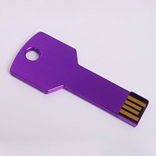 Fettoca 5pcs 8GB Metal USB Key,USB 2.0 USB Flash Drive Memory Stick -purple-