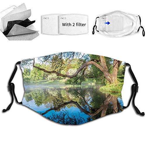 Funny Print Breathable Mouth Masks,Mirror Surface of The Pond with a Haze of Fog Branches Stretched Over The Water Hip Hop Dust Face Mask, Washable And Reusable Windproof Cartoon Animal Masks