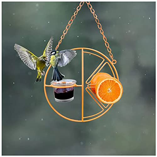 Clementine Oriole Feeder, Hummingbird Feeder Hanging for Outdoor Garden Tree Yard, Oriole Bird Feeder for Outdoors Jelly and Oranges, Creative Suspended Fruit Bird Feeder Hanging -A- Clementine Oriole Feeder, Hummingbird Feeder Hanging for Outdoor Garden Tree Yard, Oriole Bird Feeder for Outdoors Jelly and Oranges, Creative Suspended Fruit Bird Feeder Hanging -A-