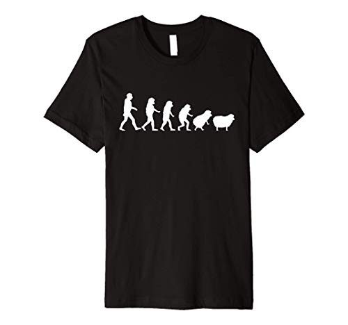 Conspiracy Theorist Human Evolution Wake Up Sheeple Sheep Premium T-Shirt Conspiracy Theorist Human Evolution Wake Up Sheeple Sheep Premium T-Shirt